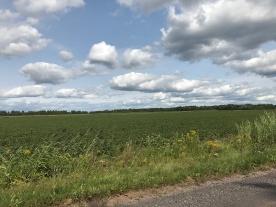 Farmland slutter ved grusvei i St.-Edoaurd